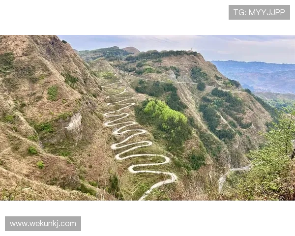 《二十四道拐》：一段悲壮的抗战史诗，一次荡气回肠的民族记忆